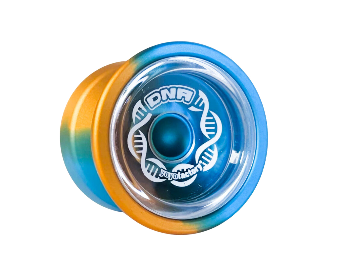 DNA Yoyo